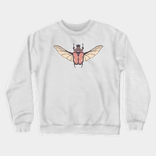 Beetle Boy Crewneck Sweatshirt